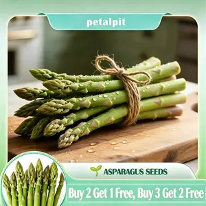 【PetalPit】Low-Fat High-Fiber Asparagus Seeds，delicious, nutrient-packed vegetable，naturally low in fat and high in fiber. Nutritious Low-Calorie，Perennial & Easy to Grow | Plant Once, Harvest for Years
