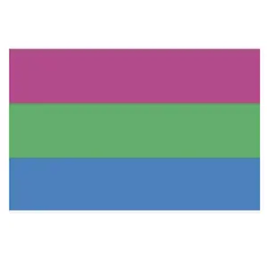 Polysexual Poly Pride Flag 3x5