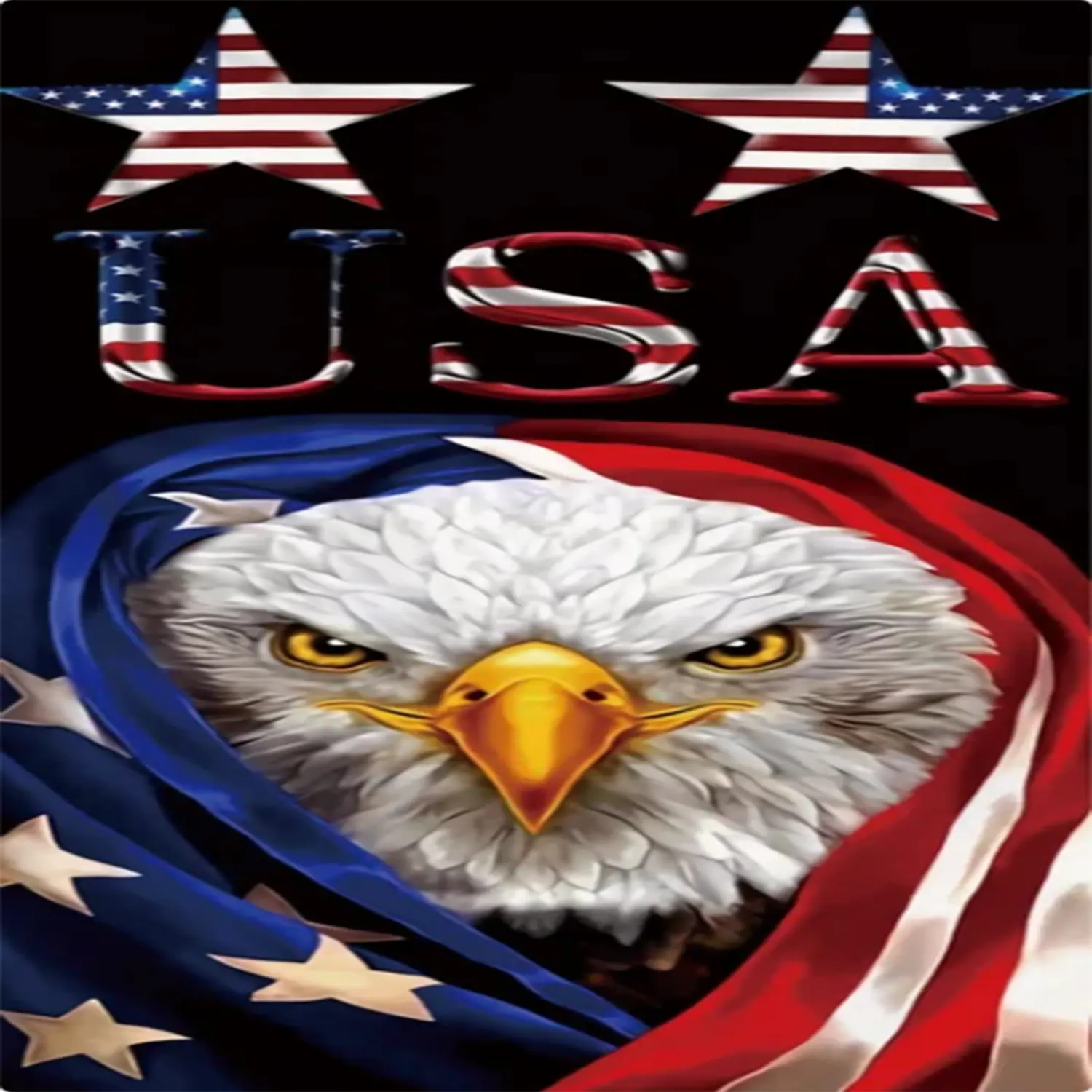 Eagle USA Flag