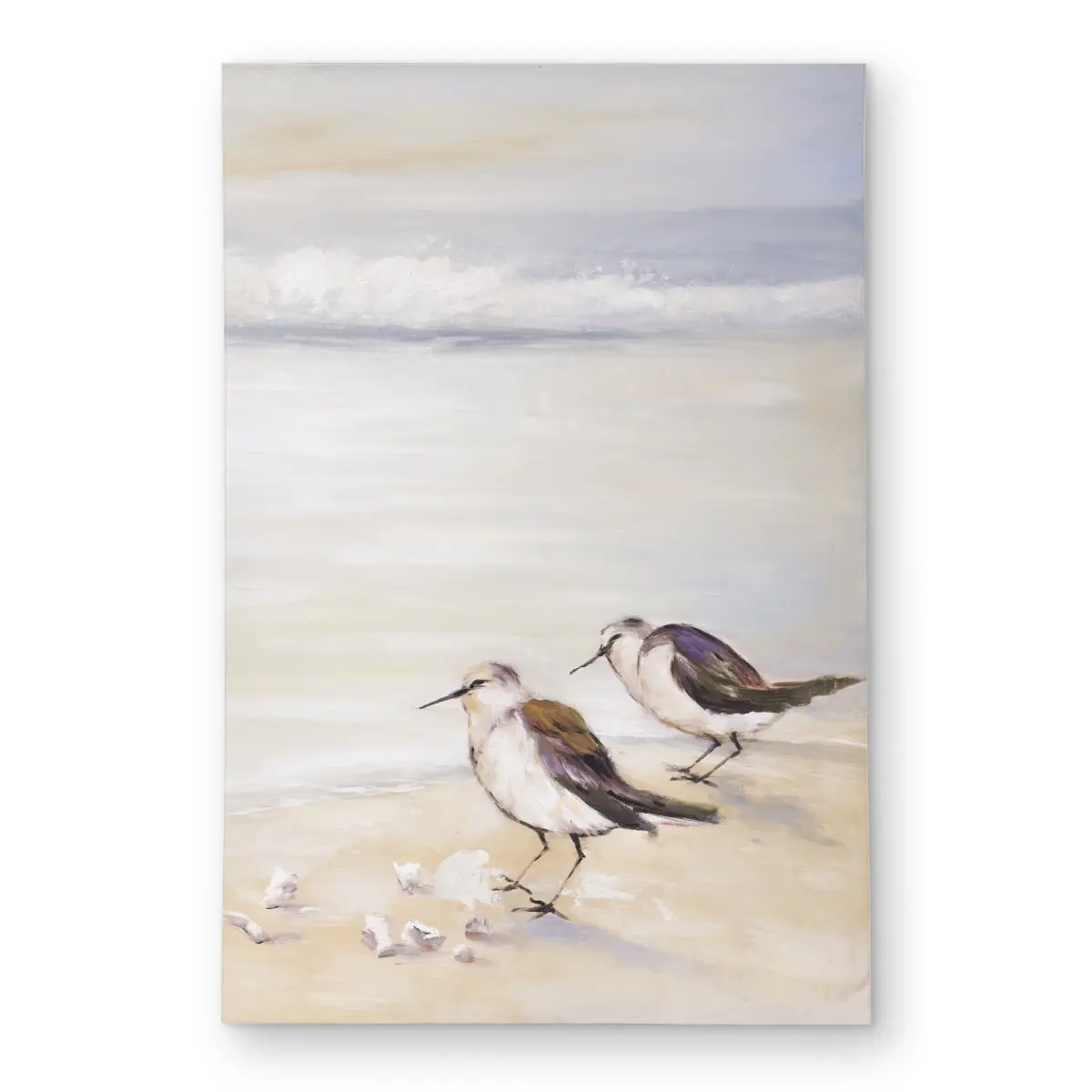 360 stand Coastal Nautical Durable Rug, 2x3 ft Rectangle, 2 Sandpipers Scene Design, Indoor/Outdoor Area Rug for Living Room, Beach Lover Decor, Nautical Theme, Printed Rug, Rugs Beach Art Area