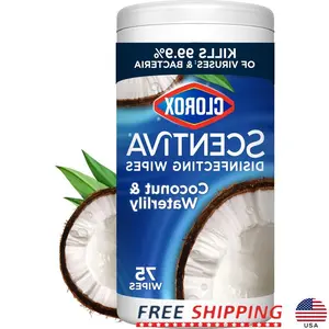 Bleach Free Coconut Waterlily Disinfecting Wipes 75 Count Multi Surface Cleaning Wipes Kills Viruses Odor Eliminator Germs Grime