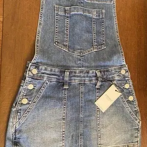 Judy Blue Jean Overall skirt