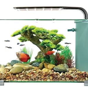 Premium Glass Aquarium 5 Gallon - Ideal for Fish and Aquatic Pets rimless tank
