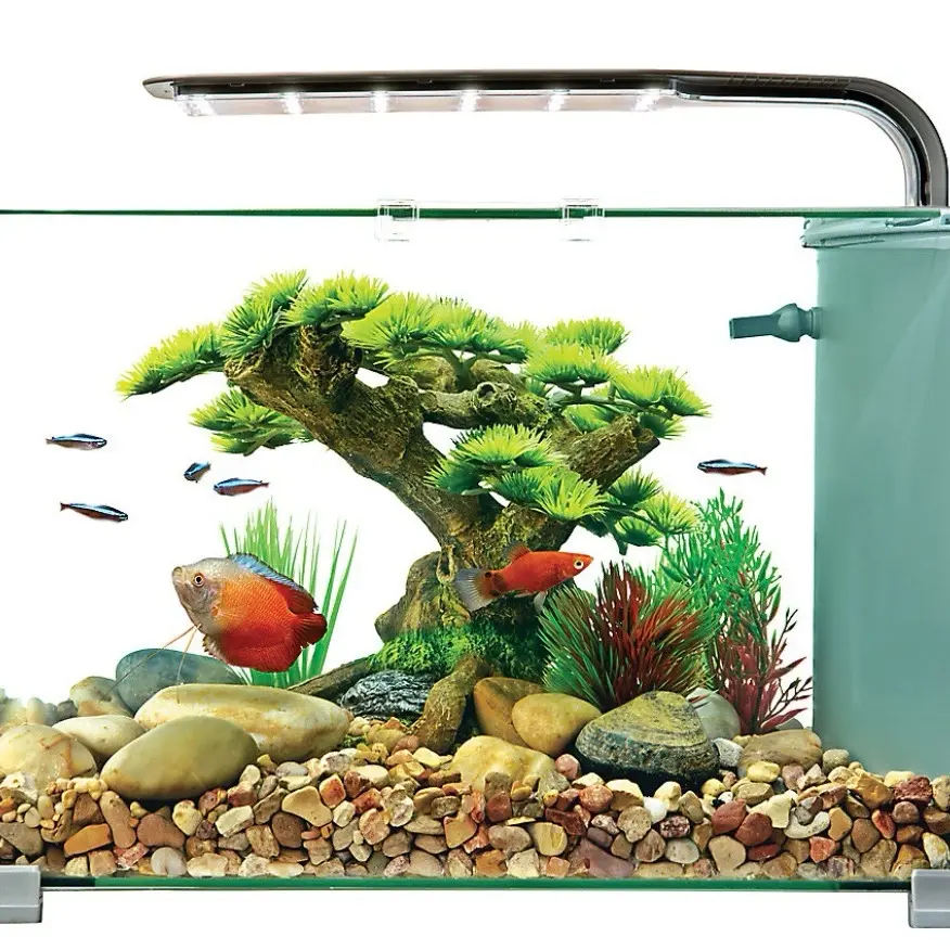 Premium Glass Aquarium 5 Gallon - Ideal for Fish and Aquatic Pets rimless tank