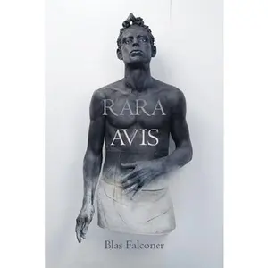 Rara Avis -- Blas Falconer, Paperback