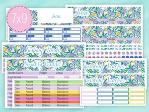 June Sticker #1 - Complete Monthly Budget Kit