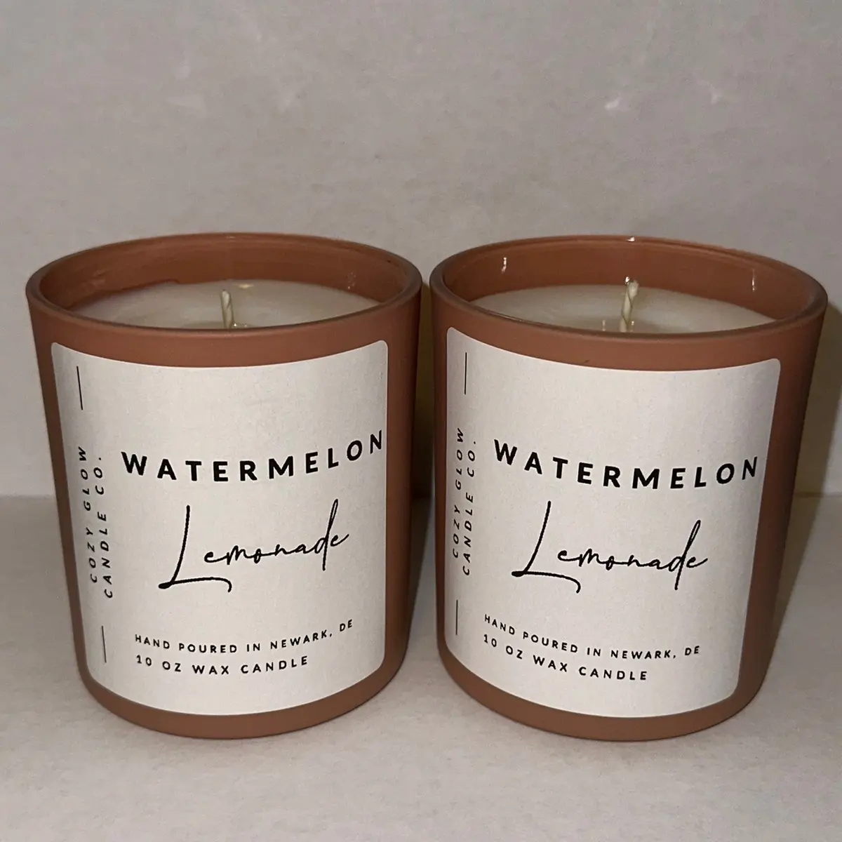 10 oz - Watermelon Lemonade Cozy