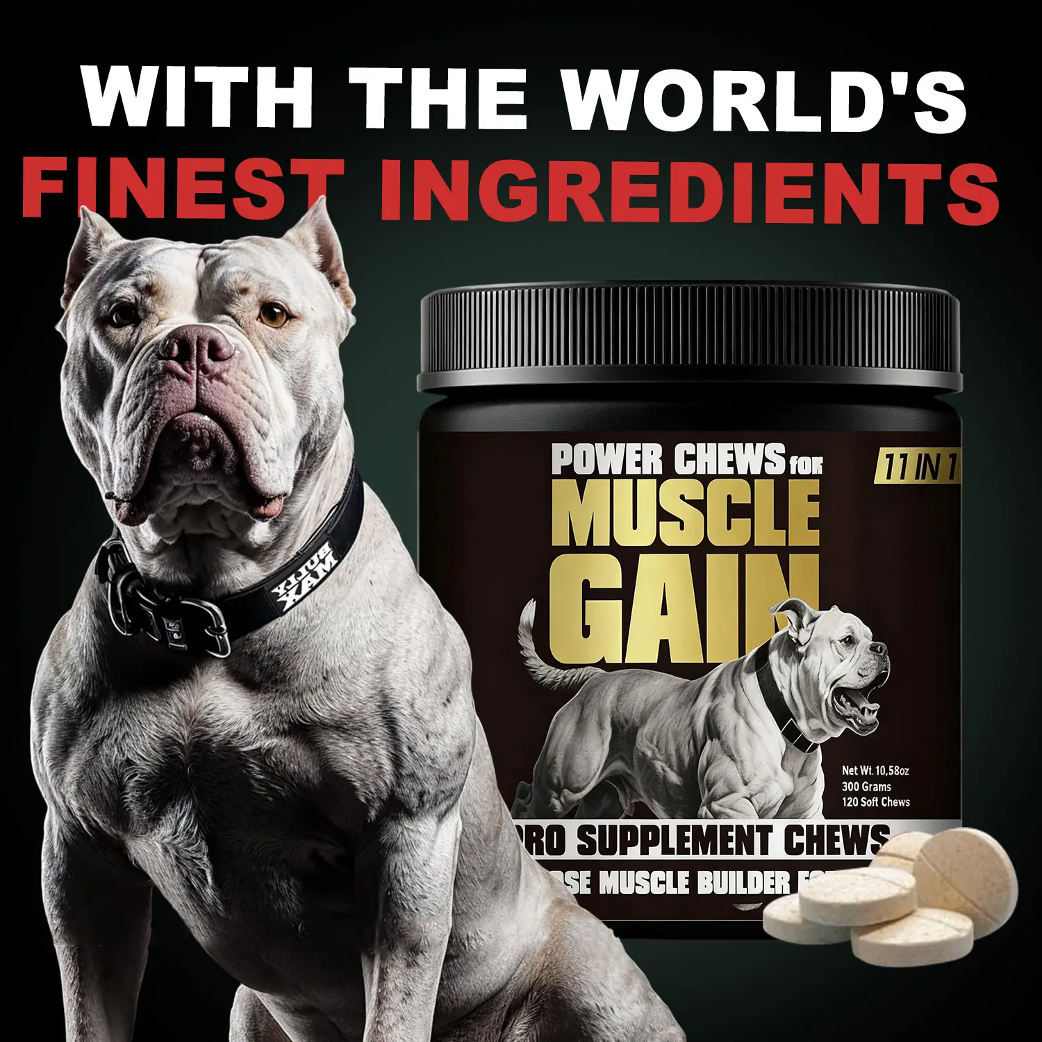 Nutritional supplements for dogs to boost immunity, promote growth, maintain digestive health, and support muscle development.