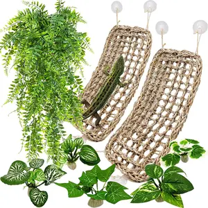 2 count Bearded Dragon Hammock Lizard Lounger  Seagrass Fiber Reptile Habitat Decor with Vine  for Hermit Crabs Geckos Snakes