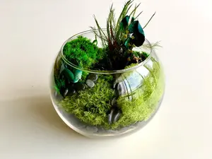 DIY Terrarium Kit, Glass Terrarium, Terrarium Moss Kit, Christmas Gift, Birthday Gift