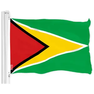 G128 Guyana Guyanese Flag | 3x5 Ft | LiteWeave Pro Series Printed 150D Polyester | Country Flag, Indoor/Outdoor, Vibrant Colors, Brass Grommets, Thicker and More Durable Than 100D 75D Polyester