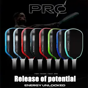 Prov Pickleball Paddle Carbon Fiber Frame, Controlled Deformation, Energy Storage, Quick Return, Offensive Efficiency, Defensive Stability