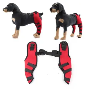 Dog Arthritis Support Dog Leg Support Dog Hind Leg Ankle Wrap for Injury/Sprain/Surgery Recovery/Arthritis Dog Leg Support