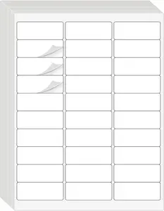 1" x 2-5/8" Address Labels 900 labels sticker paper for Laser/Ink Jet Printer mailing labels 8.5"×11" white 30 per sheet