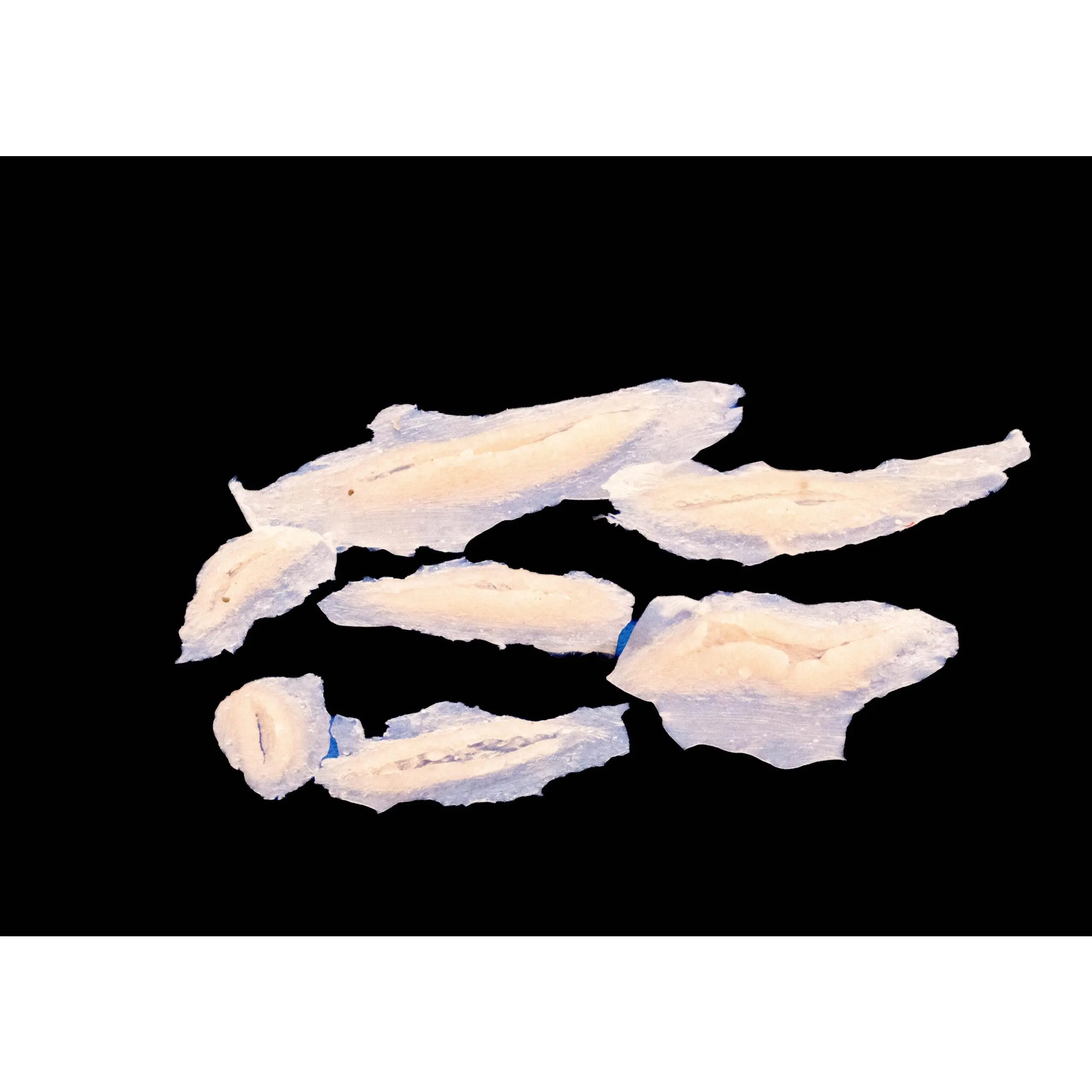 Silicone Prosthetic Superficial Laceration Pack