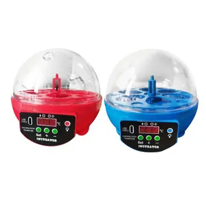 USB Egg  Automatic Chick  with LED Light Egg Display Small Egg