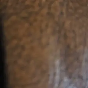 Cinnamon Protein Pancake & Waffle Mix – High Protein, Naturally Flavored | Nut Dreamers