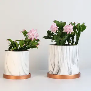 Zygo Cactus Schlumbergera truncata - Pink Blossom Succulent Plant in Marble Pot - Festive Christmas Gift for Thanksgiving & Christmas - Easy Care with Partial Sunlight & Humidity Friendly
