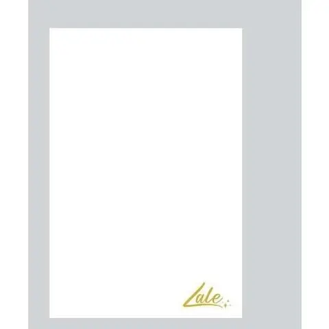 Lale Post Surgery Recovery Foam, Compression Belt Support for Liposuction, Tummy Tuck, BBL