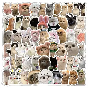 100 Pcs Cat Stickers, Cute Meme Kitten Vinyl Decals for Water Bottles, Laptop, Guitar, Suitcase, DIY Waterproof Sticker Pack Gift for Adults Teens Kids