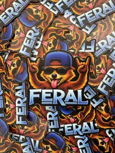 Stickers, , Multiple Designs, Hard Hat Sticker, Auto Sticker