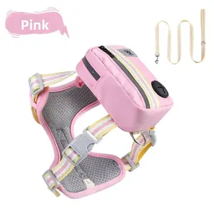 Adorable Small Dog Backpack Harness – Lightweight & Breathable All-in-One Walking Vest