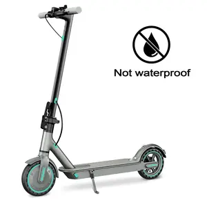 Max-Speed 19 MPH Tik Tok Shop Electric Scooter for Adults ,350W Motor Cruise Control Dual Braking Foldable Scooter Powerful Folding battery foldable commuter scooter ,Not waterproof