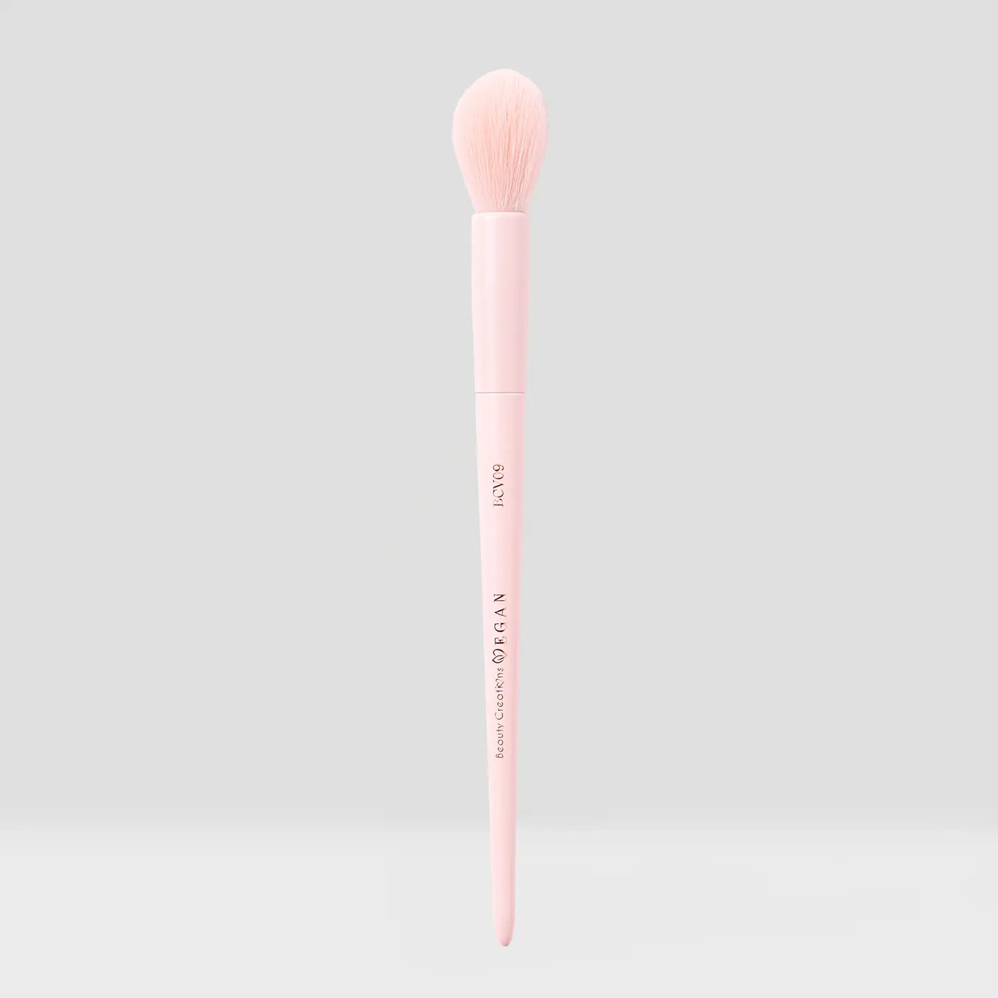BLUSH BRUSH (12PCS)