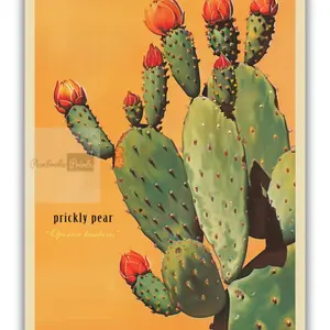 Vintage Prickly Pear Cactus Print, The Sonoran Desert Print Retro Outdoors Poster, Arizona Cabin Cottage Wall Art, Botanical Cacti Desert home decor