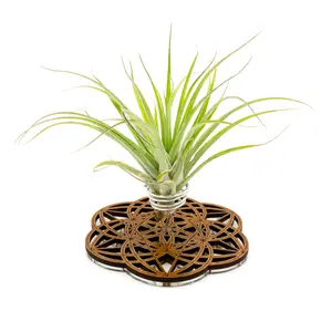 Wire Air Plant Holder 1 - Unique Plant Display Stand // Sacred Geometry Wood Home Decor Table Shelf Desk Plant Lover Gift Idea