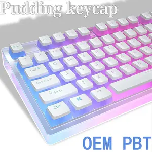 129-Key OEM Profile PBT Backlit Transparent Pudding Keycaps for MX Hot Swap Mechanical Keyboard Switches, Backlit Key Caps
