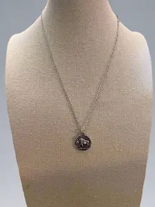Western Buffalo Coin Necklace & Earring Set - 18 inch