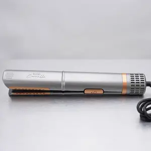 RUCCI CORRALLE AirGlide 2-in-1 Wet-to-Straight Hair Styler – 800W Professional Airflow Hair Smoother & Dryer