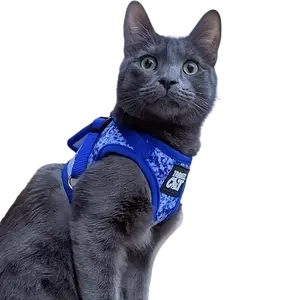 "The Groovy Cat" Tie Dye Limited Edition Harness & Leash Set