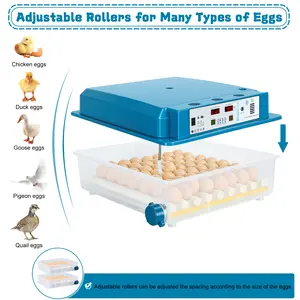 Incubators for Hatching Eggs, 64 Egg Incubators with Auto Turn, Temp & Humidity Control for Chicken, Duck, Goose, Bird, Quail
