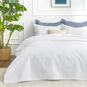2/3pcs Quilt Set Bedspreads( Include 1 Quilt 1 Or 2 Pillowcases) Lightweight Microfiber Bedspread - Modern Style Coin Pattern Coverlet Soft And Skin-Friendly Quilt Anti-Allergy And Machine Washable Suitable For School Dormitories