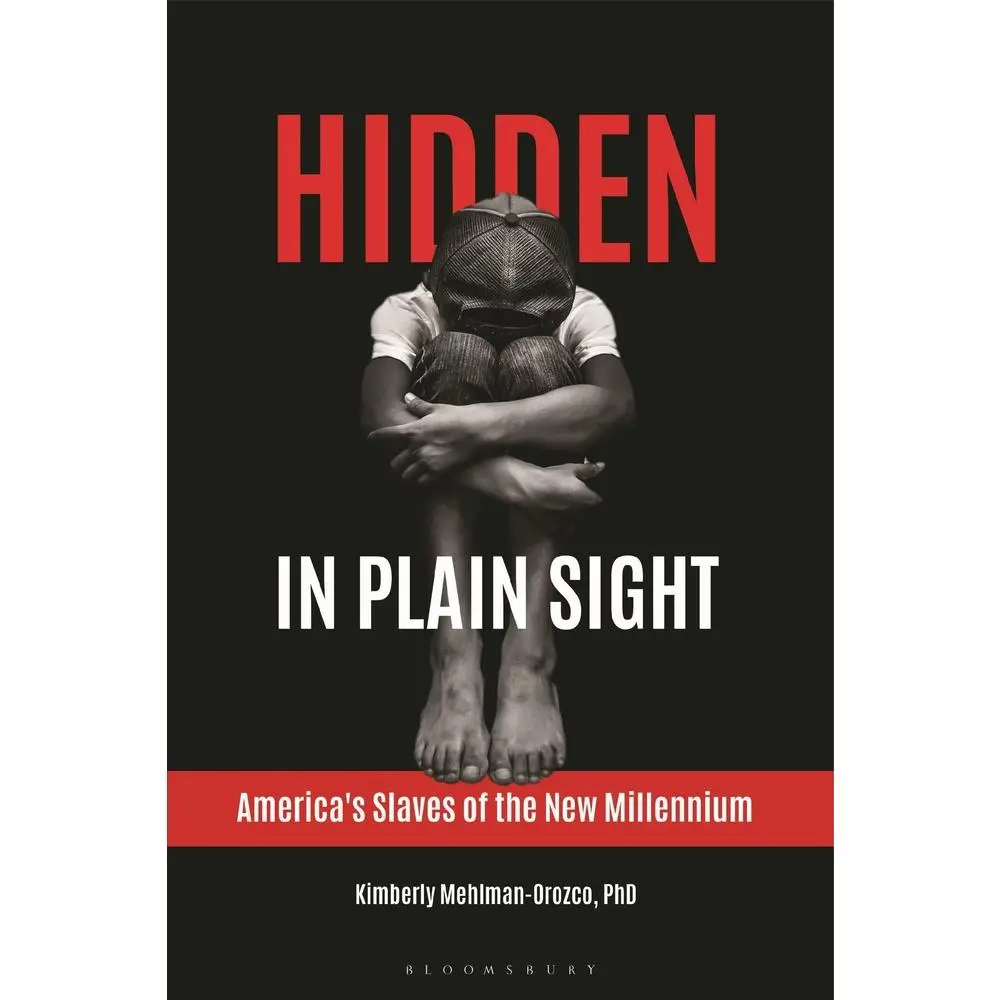 USED Book - Hidden in Plain Sight: America's Slaves of the New Millennium by Mehlman-Orozco, Kimberly (Hardcover) - english