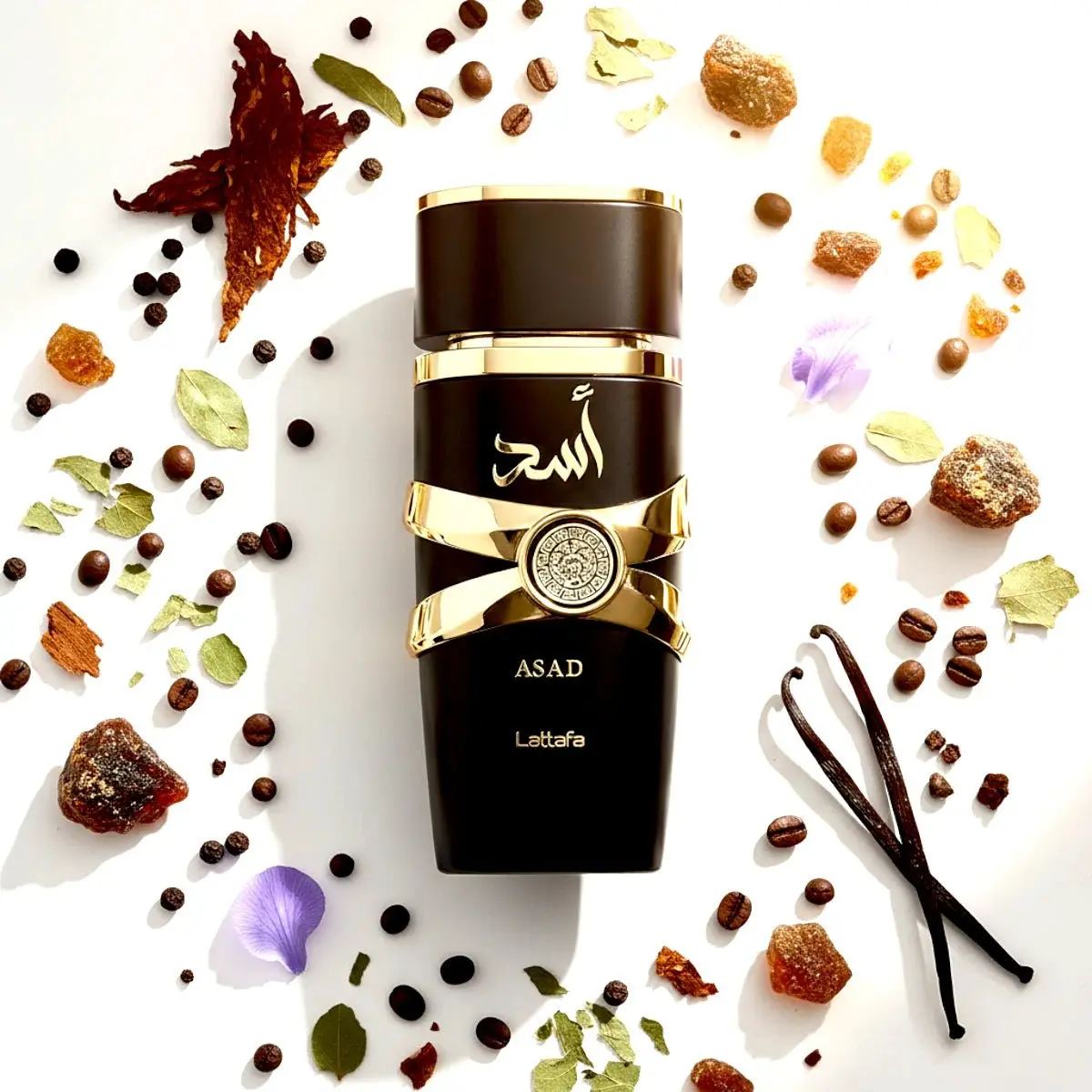Asad Collection 4 x 25ml Gift Set Elixir, Asad Zanzibar, Asad