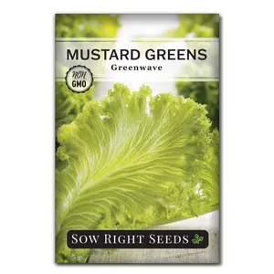 Greenwave Mustard Greens Seeds for Planting