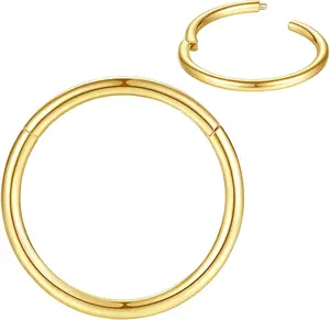 316L Surgical Steel Nose Rings Hoop Septum Clicker Hinged Segment Ring Lip Ear Piercing Earrings for Cartilage Helix Tragus Conch Rook 20G 18G 16G 14G 12G 10G 8G,Inner Diameter 5Mm to 22Mm