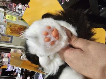 product review image from SyncretrixRedWitch 2