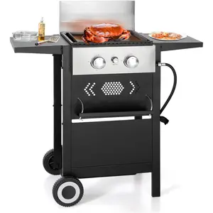 2 Burner Griddle Grill Combo, 2 in 1 Propane Gas BBQ Grill w/Cast Iron Plate, 20,000 BTU Output Small Flat Top Propane Barbecue Grill for Camping, Patio, Backyard, Balcony