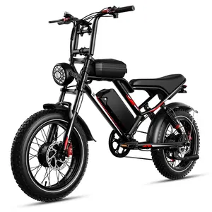 S8 Electric Bike Dual Motor 2000W All Wheel Drive 25Ah Battery 31MPH Max Speed 50Miles Range 330lbs Load 20 Inch Off Road Tires 7 Speed Hydraulic Brakes Full Suspension with Front and Rear Lights