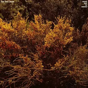 Jefre Cantu-Ledesma - Tracing Back The Radiance  [VINYL RECORD - LP]