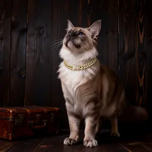 Dog Necklace Metal Cuban Link Dog Collar Gold Crystal Chain Collar with Design Secure Buckle Pet Collar Jewelry Accessories for Small Medium Large Dogs Cats