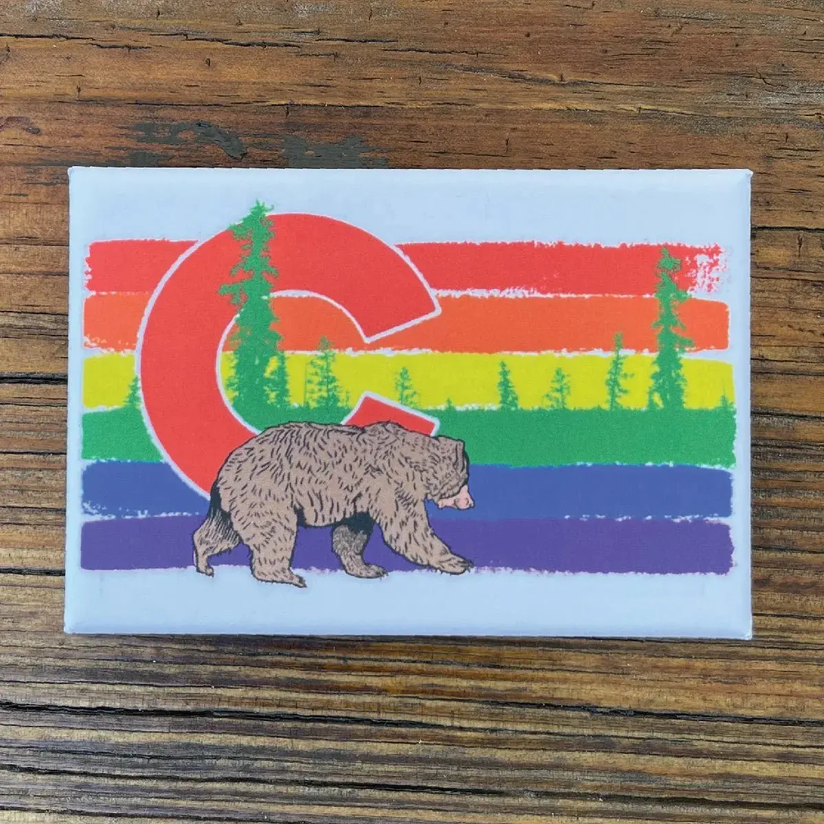 Colorado Rainbow Bear Fridge Magnet