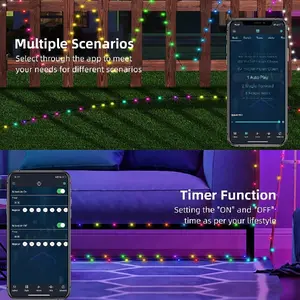 32FT IC- smart fairy light, LED multi-color light string application control & remote control timing, APP music synchronous color change, USB power supply, string lights for wedding, Christmas, home bedroom decorative lights
