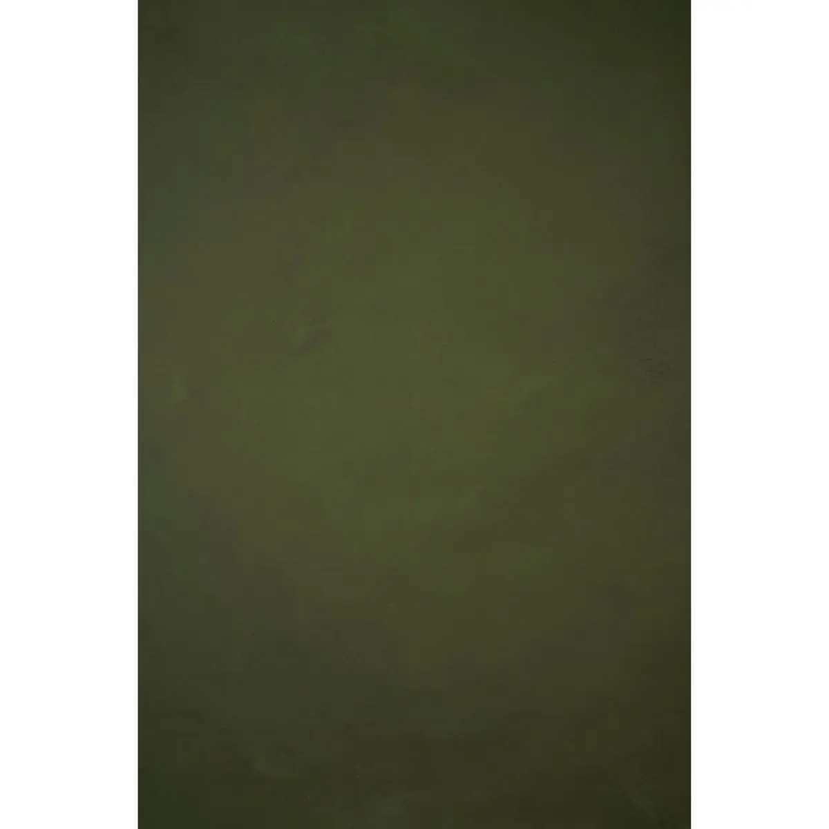 Camera Backdrop for Photographers, Gravity Backdrops Italian Low Texture Cotton Artwork Hand-Painted Classic Collection Canvas, 8.9x13 ft, Green