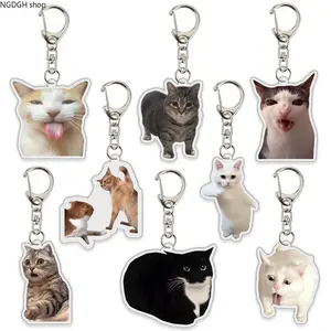 Surprised Meme Cat Acrylic Keychain, Cute Gray Tabby Cat Charm, Funny Expression, Durable & Lightweight, Perfect for Backpacks, Keys, Cat Lovers & Meme Fans