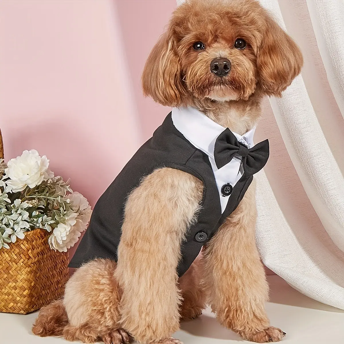 Classic Bow Tie Suit for Cats, Dogs and Poodle, Perfect for Birthday Parties, Weddings, Festivals, Stylish Pet Clothing Accessories, Puppy